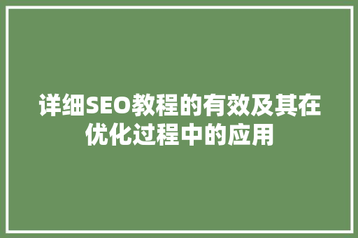 详细SEO教程的有效及其在优化过程中的应用