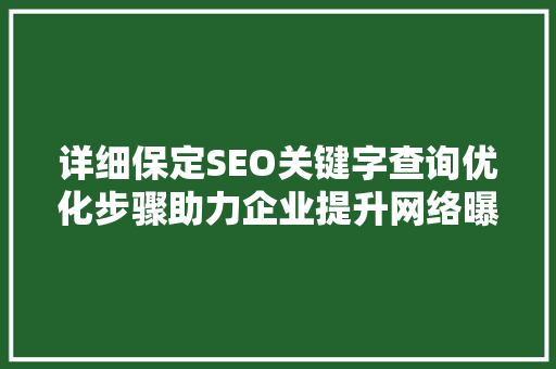 详细保定SEO关键字查询优化步骤助力企业提升网络曝光度