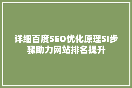 详细百度SEO优化原理SI步骤助力网站排名提升
