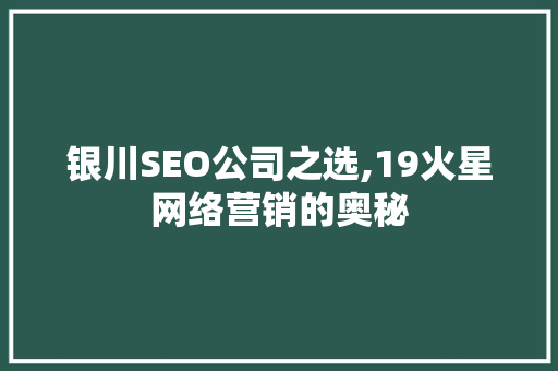 银川SEO公司之选,19火星网络营销的奥秘