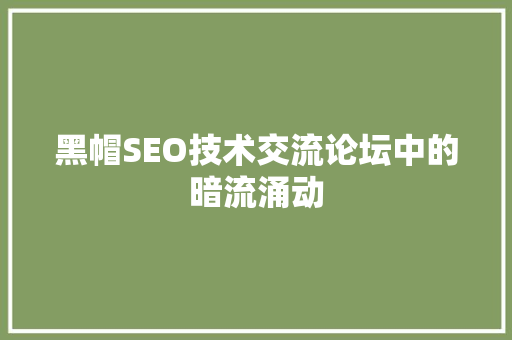 黑帽SEO技术交流论坛中的暗流涌动