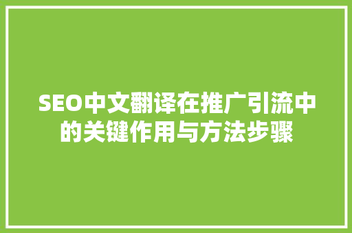SEO中文翻译在推广引流中的关键作用与方法步骤