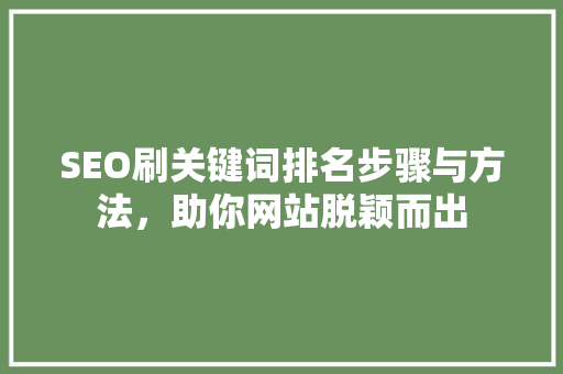 SEO刷关键词排名步骤与方法，助你网站脱颖而出