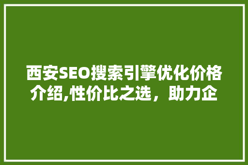 西安SEO搜索引擎优化价格介绍,性价比之选，助力企业腾飞