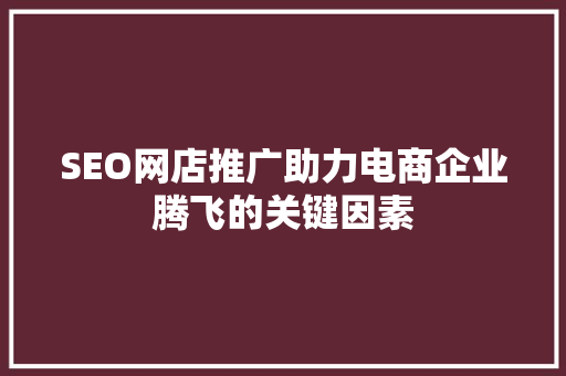 SEO网店推广助力电商企业腾飞的关键因素