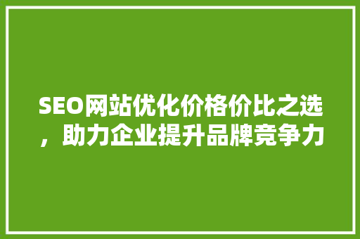 SEO网站优化价格价比之选，助力企业提升品牌竞争力