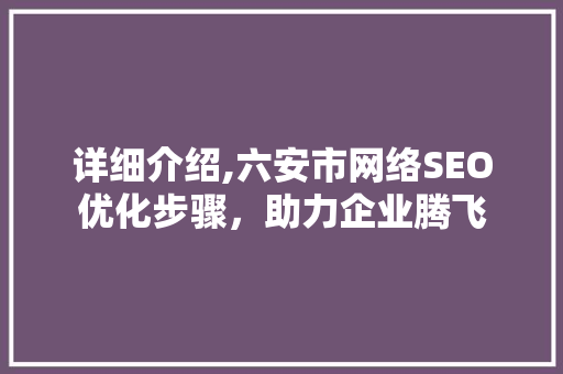 详细介绍,六安市网络SEO优化步骤，助力企业腾飞  第1张