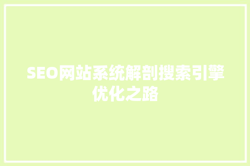 SEO网站系统解剖搜索引擎优化之路