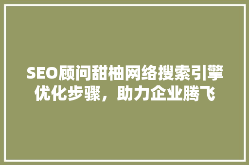 SEO顾问甜柚网络搜索引擎优化步骤，助力企业腾飞