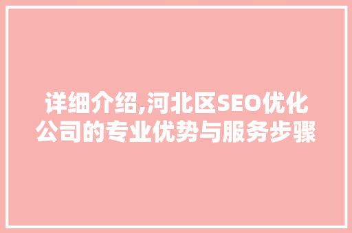 详细介绍,河北区SEO优化公司的专业优势与服务步骤