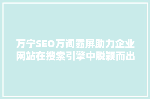 万宁SEO万词霸屏助力企业网站在搜索引擎中脱颖而出