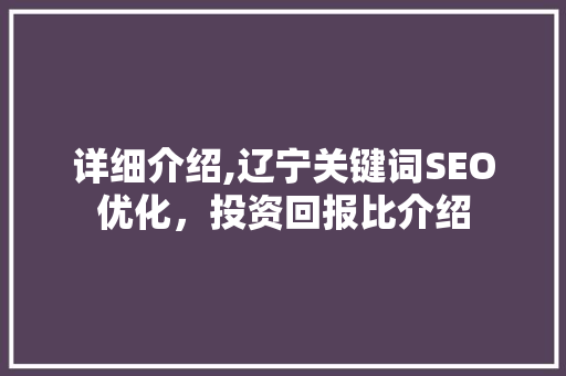 详细介绍,辽宁关键词SEO优化，投资回报比介绍