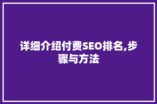 详细介绍付费SEO排名,步骤与方法