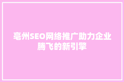 亳州SEO网络推广助力企业腾飞的新引擎