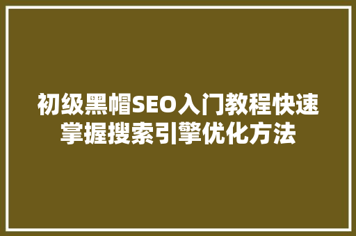 初级黑帽SEO入门教程快速掌握搜索引擎优化方法