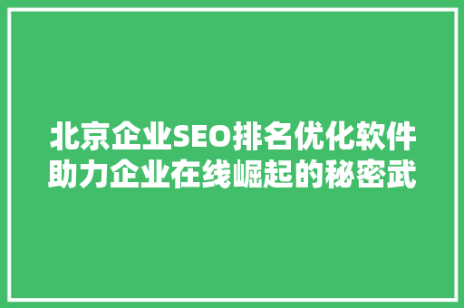 北京企业SEO排名优化软件助力企业在线崛起的秘密武器