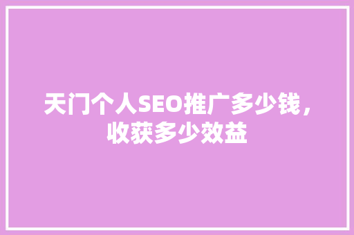 天门个人SEO推广多少钱，收获多少效益