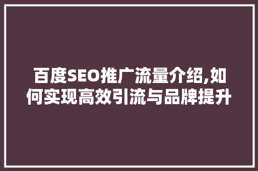百度SEO推广流量介绍,如何实现高效引流与品牌提升