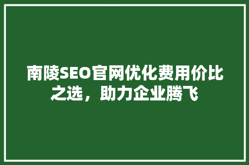 南陵SEO官网优化费用价比之选，助力企业腾飞