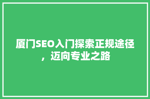 厦门SEO入门探索正规途径，迈向专业之路