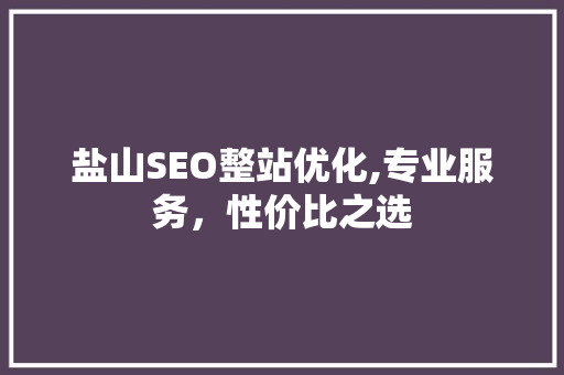 盐山SEO整站优化,专业服务，性价比之选
