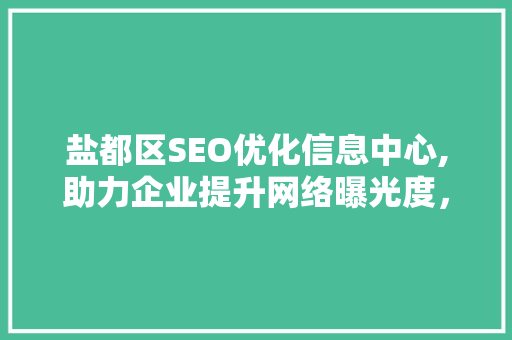 盐都区SEO优化信息中心,助力企业提升网络曝光度，抢占市场先机