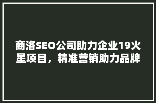 商洛SEO公司助力企业19火星项目，精准营销助力品牌腾飞