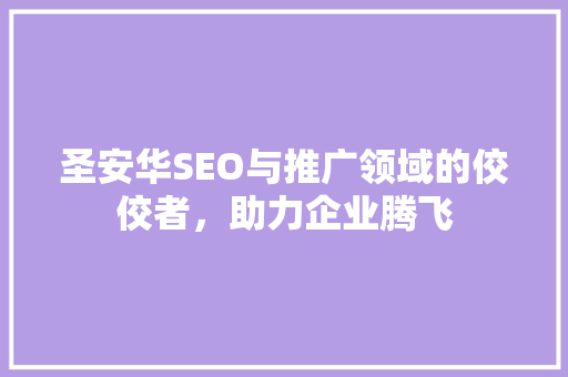 圣安华SEO与推广领域的佼佼者，助力企业腾飞