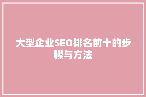 大型企业SEO排名前十的步骤与方法