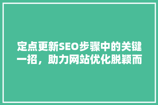 定点更新SEO步骤中的关键一招，助力网站优化脱颖而出
