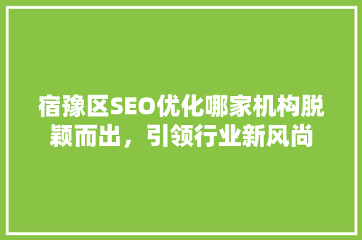 宿豫区SEO优化哪家机构脱颖而出，引领行业新风尚