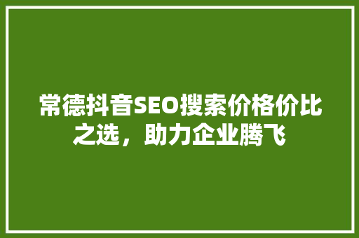 常德抖音SEO搜索价格价比之选，助力企业腾飞