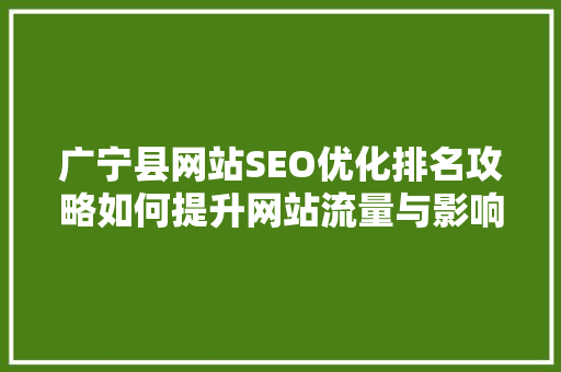 广宁县网站SEO优化排名攻略如何提升网站流量与影响力