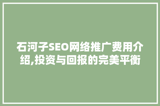 石河子SEO网络推广费用介绍,投资与回报的完美平衡