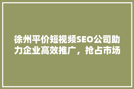 徐州平价短视频SEO公司助力企业高效推广，抢占市场先机
