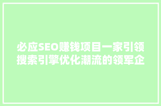 必应SEO赚钱项目一家引领搜索引擎优化潮流的领军企业