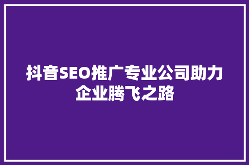 抖音SEO推广专业公司助力企业腾飞之路