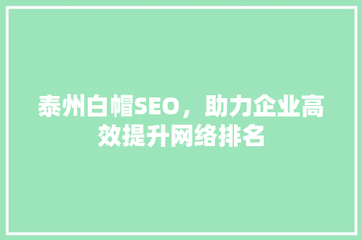 泰州白帽SEO，助力企业高效提升网络排名