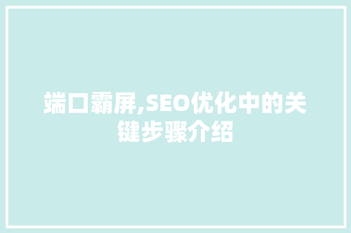 端口霸屏,SEO优化中的关键步骤介绍