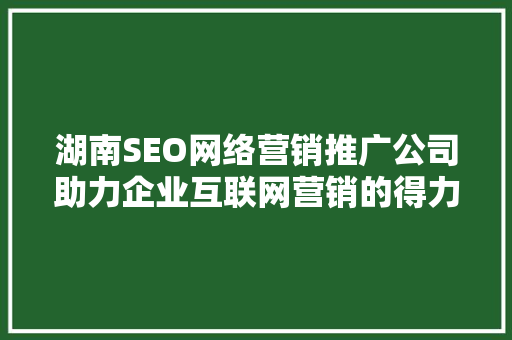 湖南SEO网络营销推广公司助力企业互联网营销的得力助手