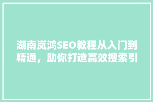 湖南岚鸿SEO教程从入门到精通，助你打造高效搜索引擎优化步骤