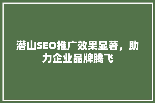 潜山SEO推广效果显著，助力企业品牌腾飞