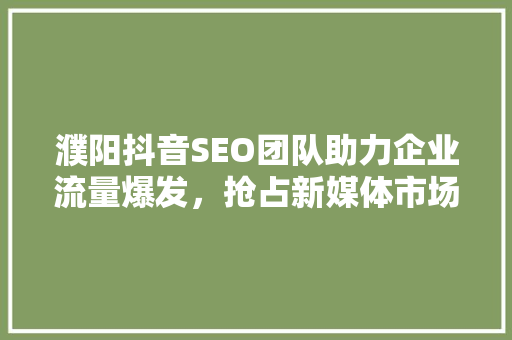 濮阳抖音SEO团队助力企业流量爆发，抢占新媒体市场制高点