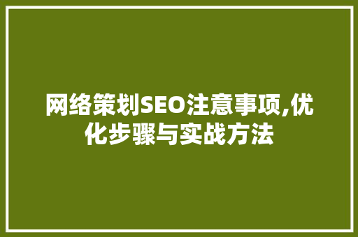 网络策划SEO注意事项,优化步骤与实战方法