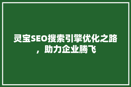 灵宝SEO搜索引擎优化之路，助力企业腾飞
