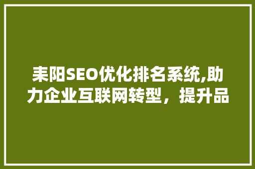耒阳SEO优化排名系统,助力企业互联网转型，提升品牌影响力