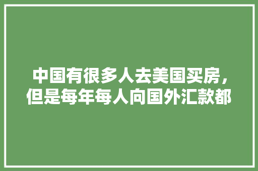 SEO优化,介绍关键词布局的奥秘与步骤