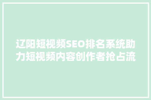 辽阳短视频SEO排名系统助力短视频内容创作者抢占流量高地