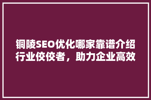 铜陵SEO优化哪家靠谱介绍行业佼佼者，助力企业高效营销
