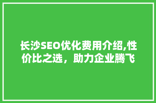 长沙SEO优化费用介绍,性价比之选，助力企业腾飞